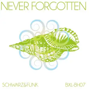 Never Forgotten (Beach House Mix Radio Cut)