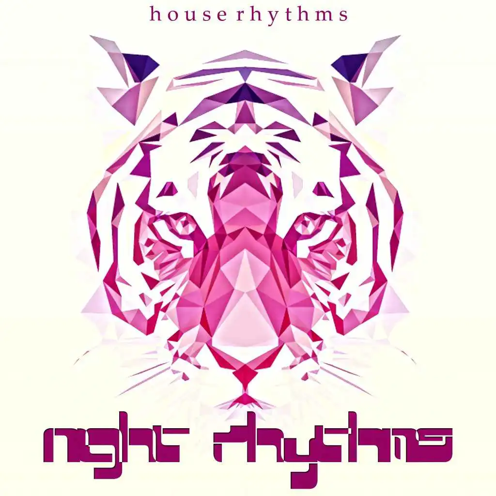 Night Rhythms (House Rhythms)