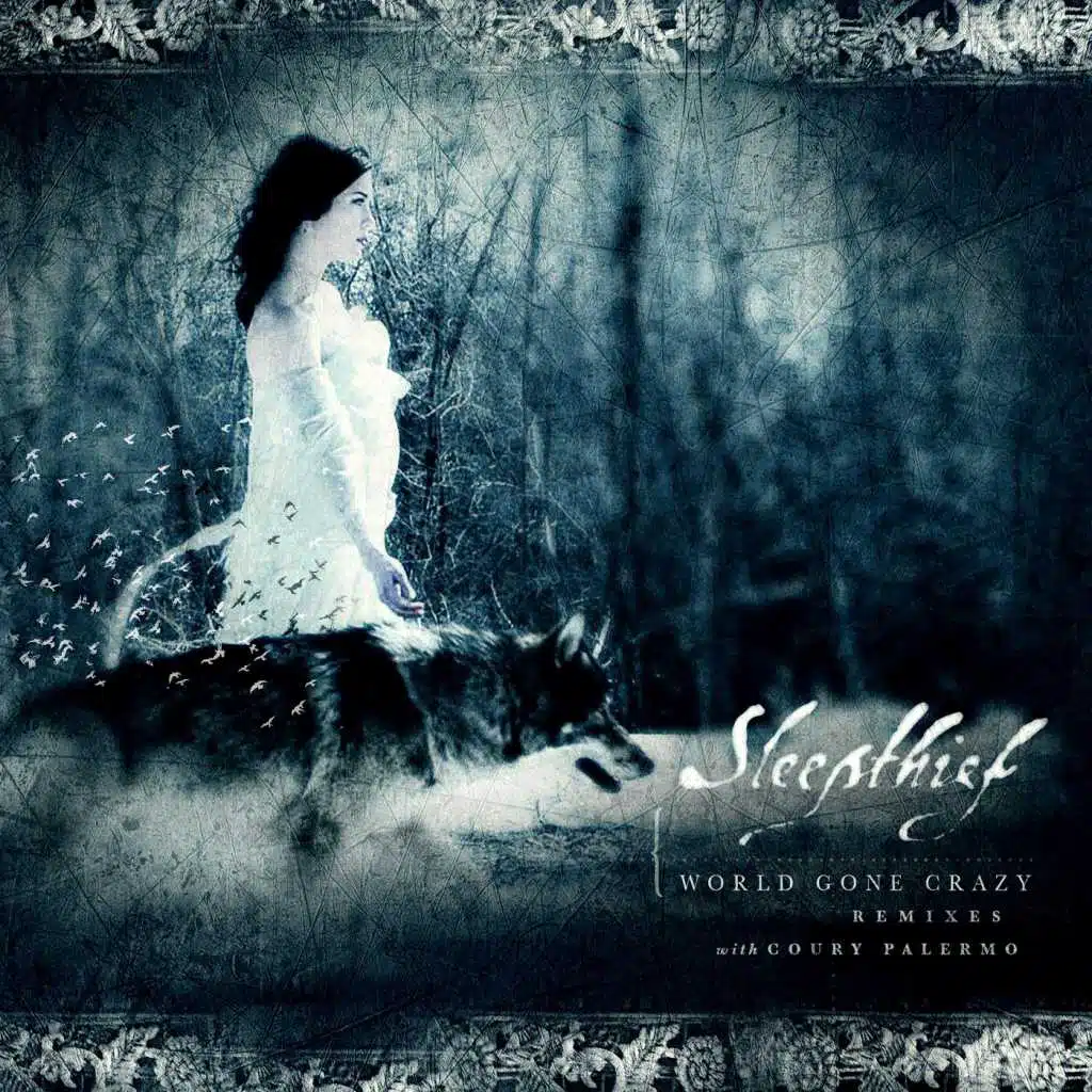 World Gone Crazy (Sepiamusic Mix) [feat. Coury Palermo]