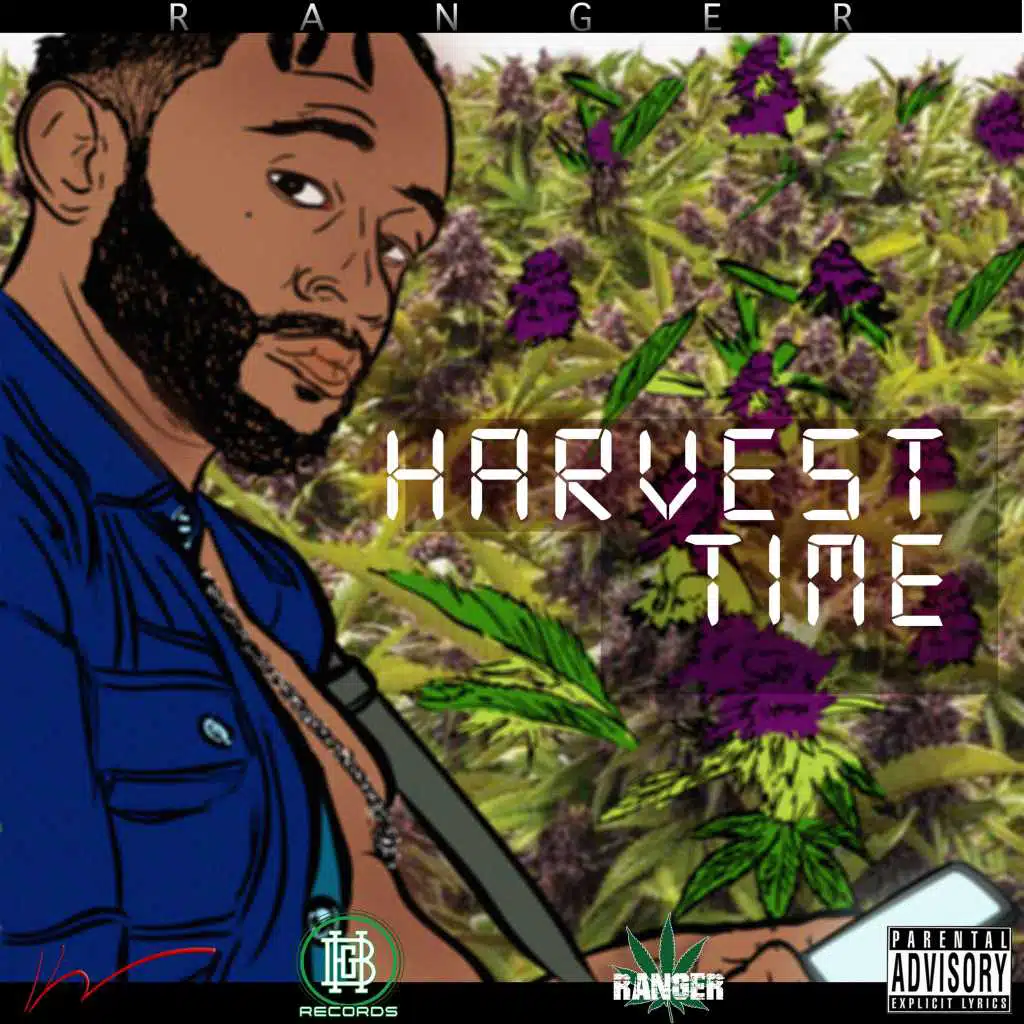 Harvest Time