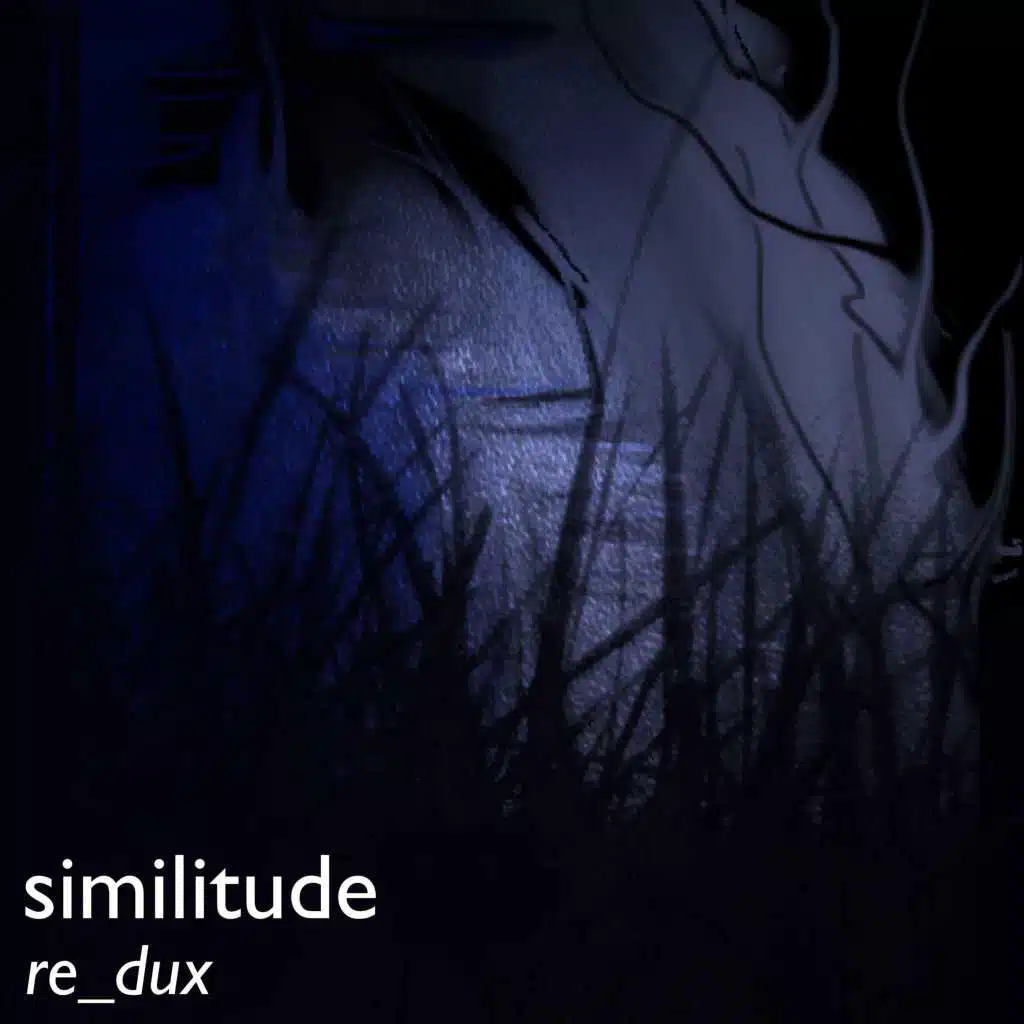 Similitude