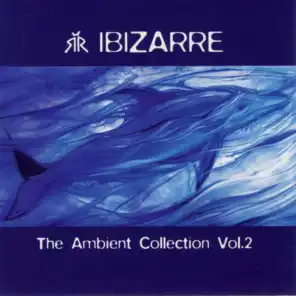 Ambient Collection Vol. 2