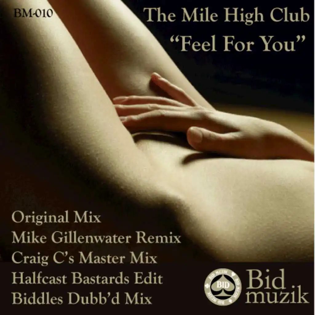 Feel For You (Mike Gillenwater Remix)