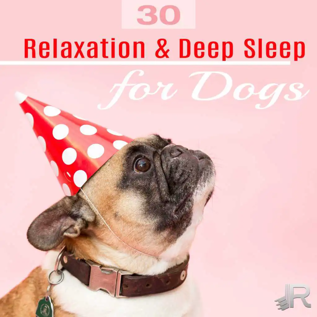 Relaxation & Deep Sleep for Dogs