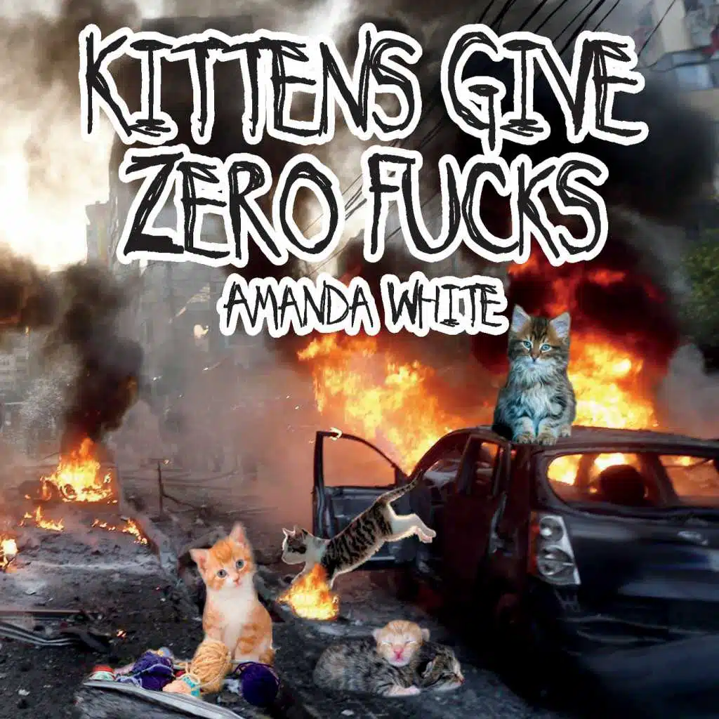 Kittens Give Zero Fucks