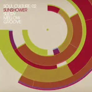 Soul Culture: 02 Sunshower Sultry Mellow Groove