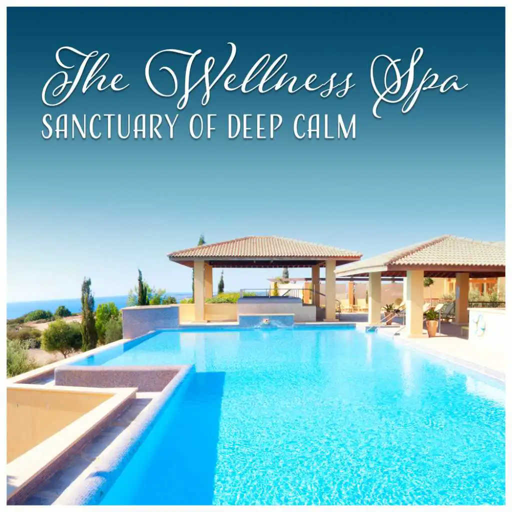 The Wellness Spa