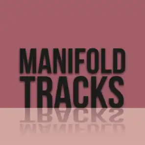 Manifold Tracks