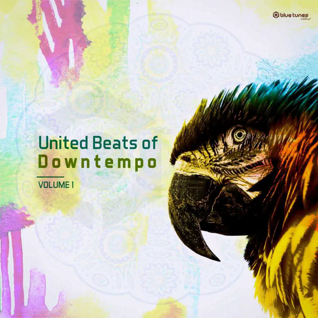 United Beats of Downtempo