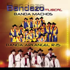 Bandazo Musical
