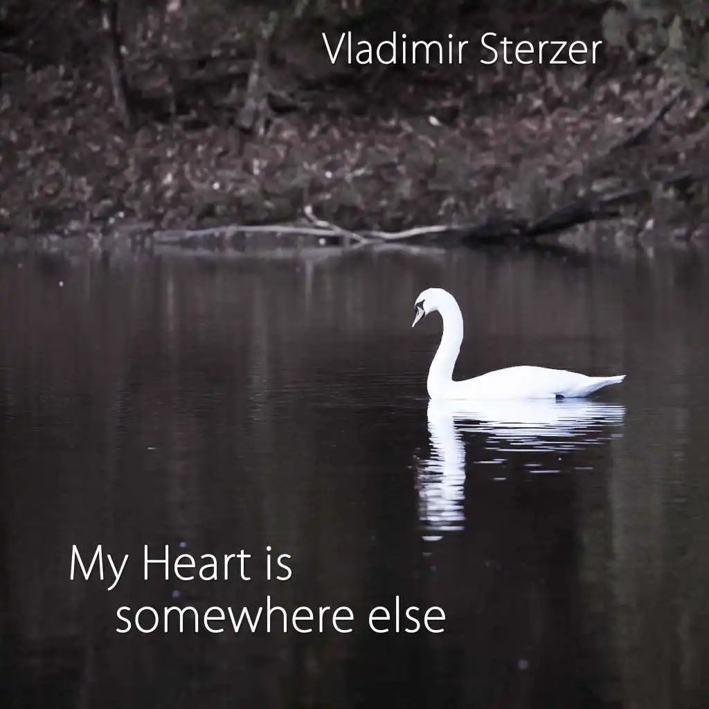 My Heart Is Somewhere Else (Symphonic Version)