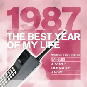 The Best Year Of My Life: 1987