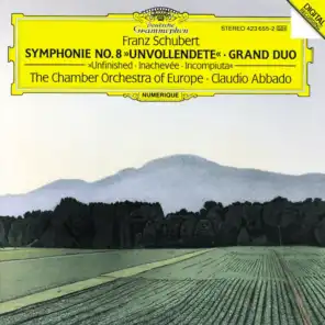 Schubert: Grand Duo Sonata in C Major, D. 812 (Orch. Joachim) - II. Andante