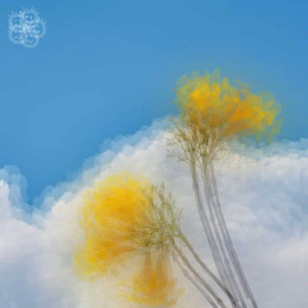 Please, I Can Explain