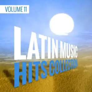 Latin Music Hits Collection (Volume 11)