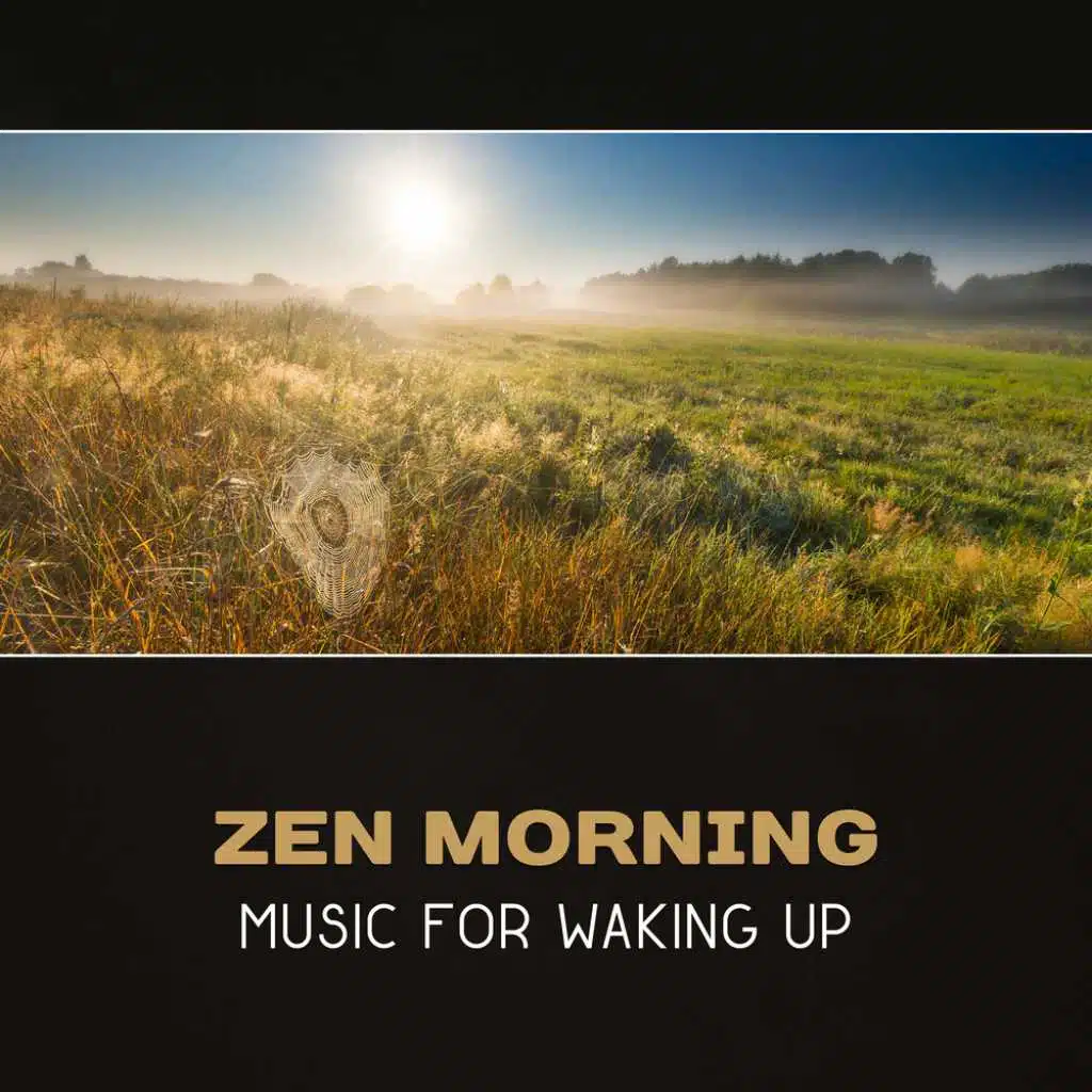 Zen Morning