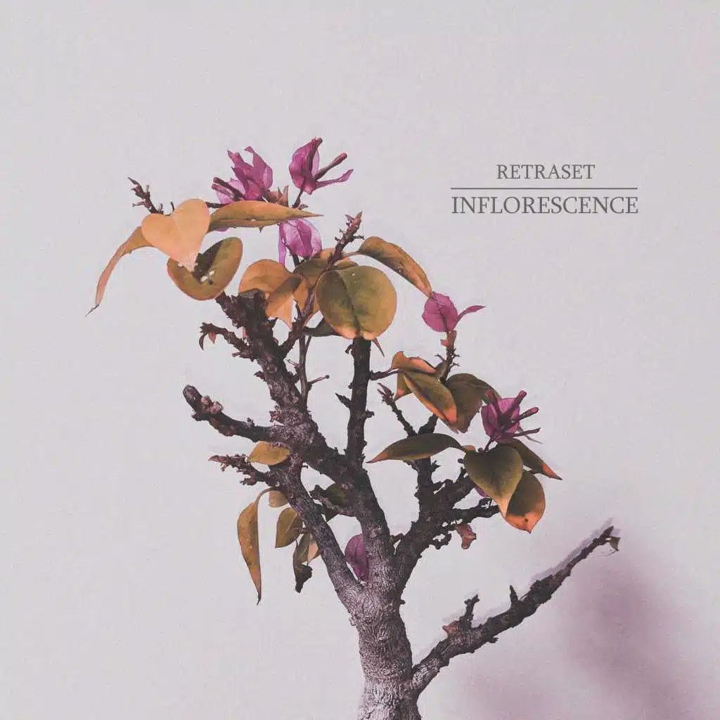 Inflorescence - EP