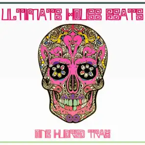 Ultimate House Beats (100 Trax Edition)
