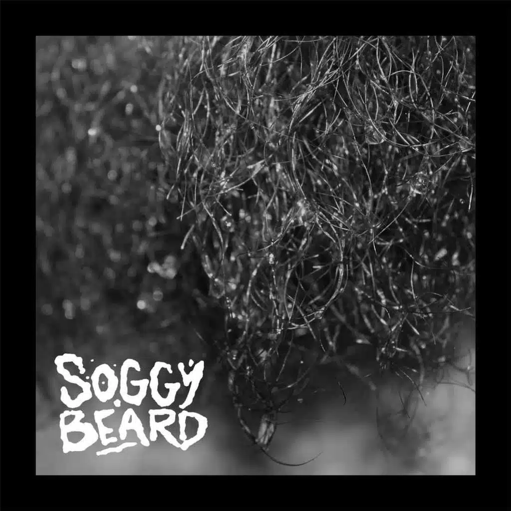 Soggy Beard
