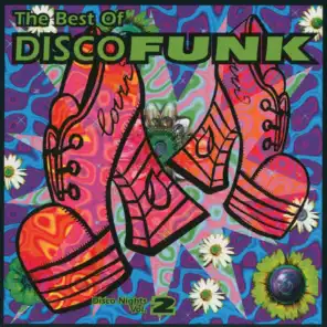 The Best Of Disco Funk (Disco Nights Vol.2)