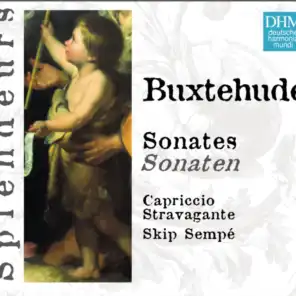 DHM Splendeurs: Buxtehude Sonatas
