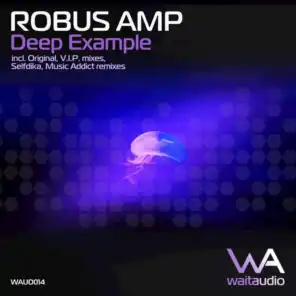 Deep Example (Selfdika Remix)
