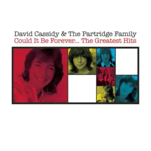 David Cassidy & The Partridge Family