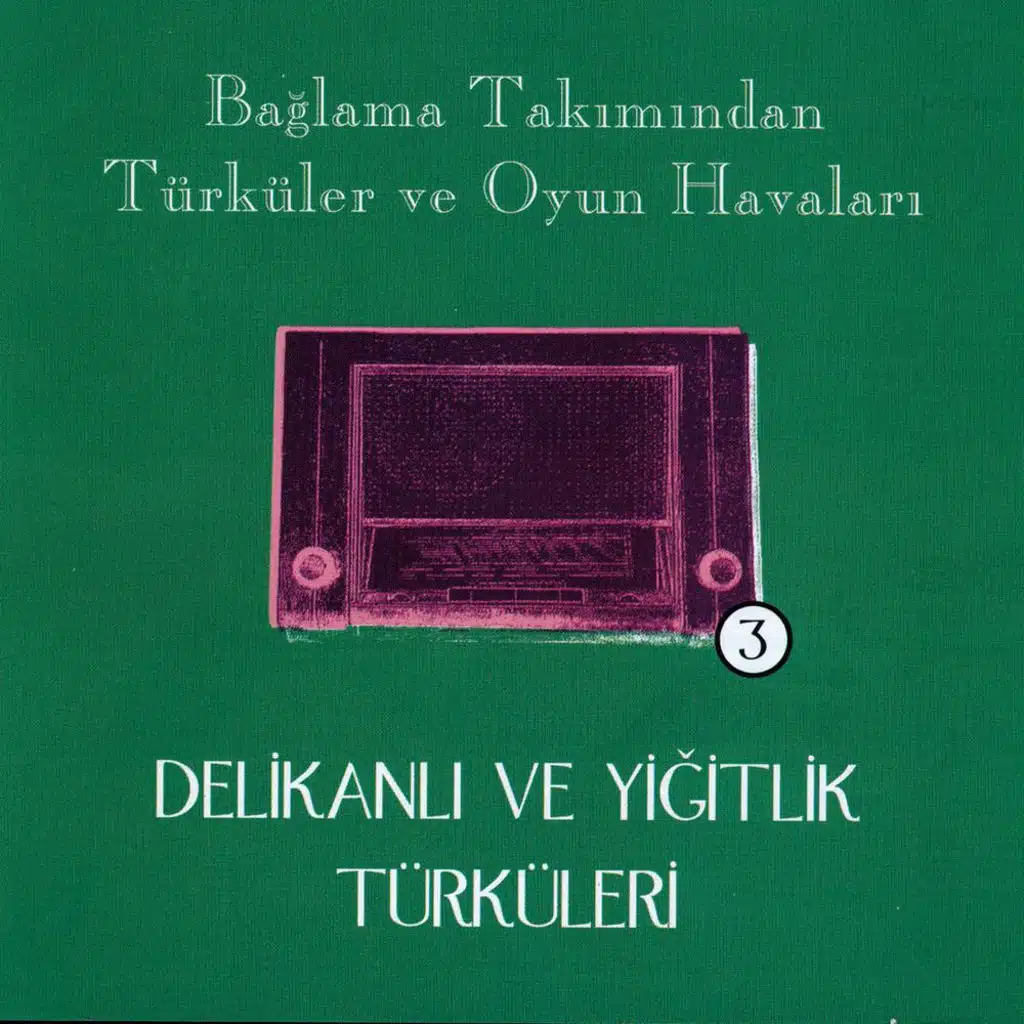 Delikanlı ve Yiğitlik Türküleri
