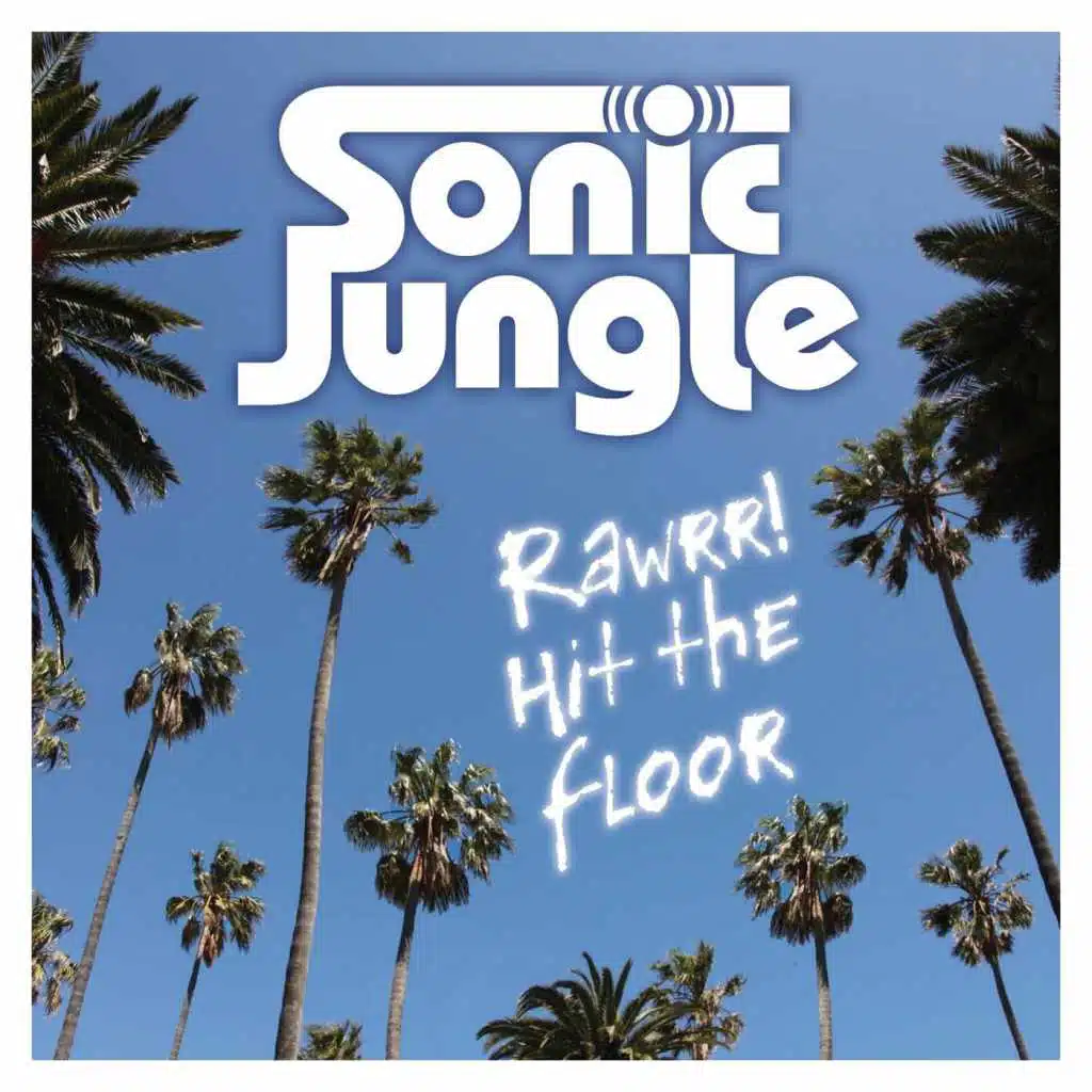 Rawrr (Hit the Floor)