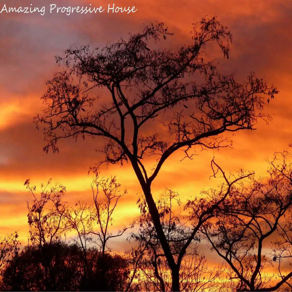 Amazing Progressive House Pt.001