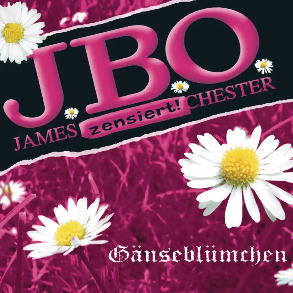 Arschloch & Spass dabei (live)