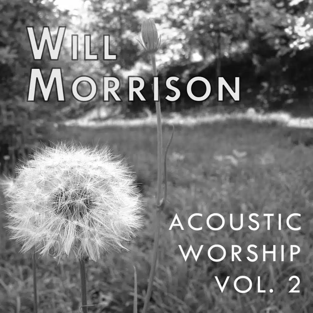 Acoustic Worship, Vol. 2