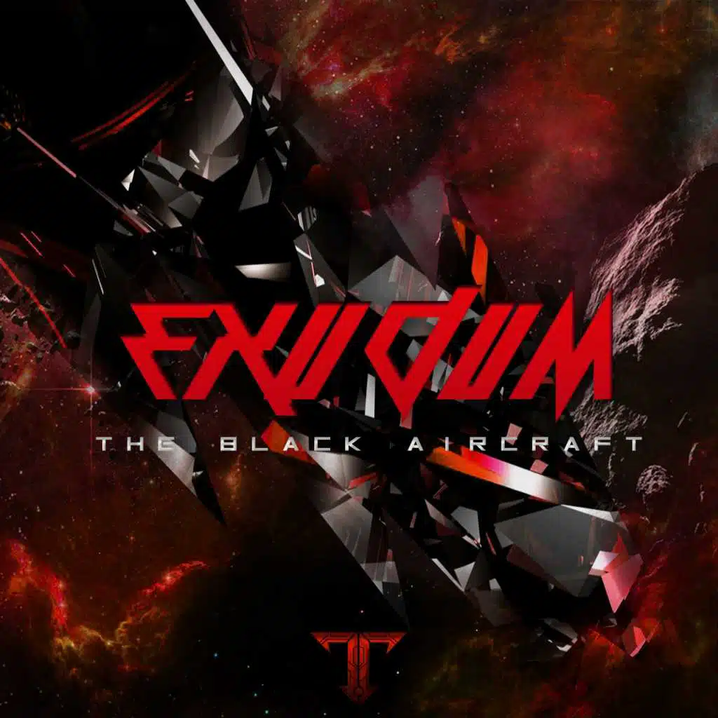 The black aircraft