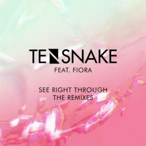 See Right Through (Toyboy & Robin Remix) [feat. Fiora]