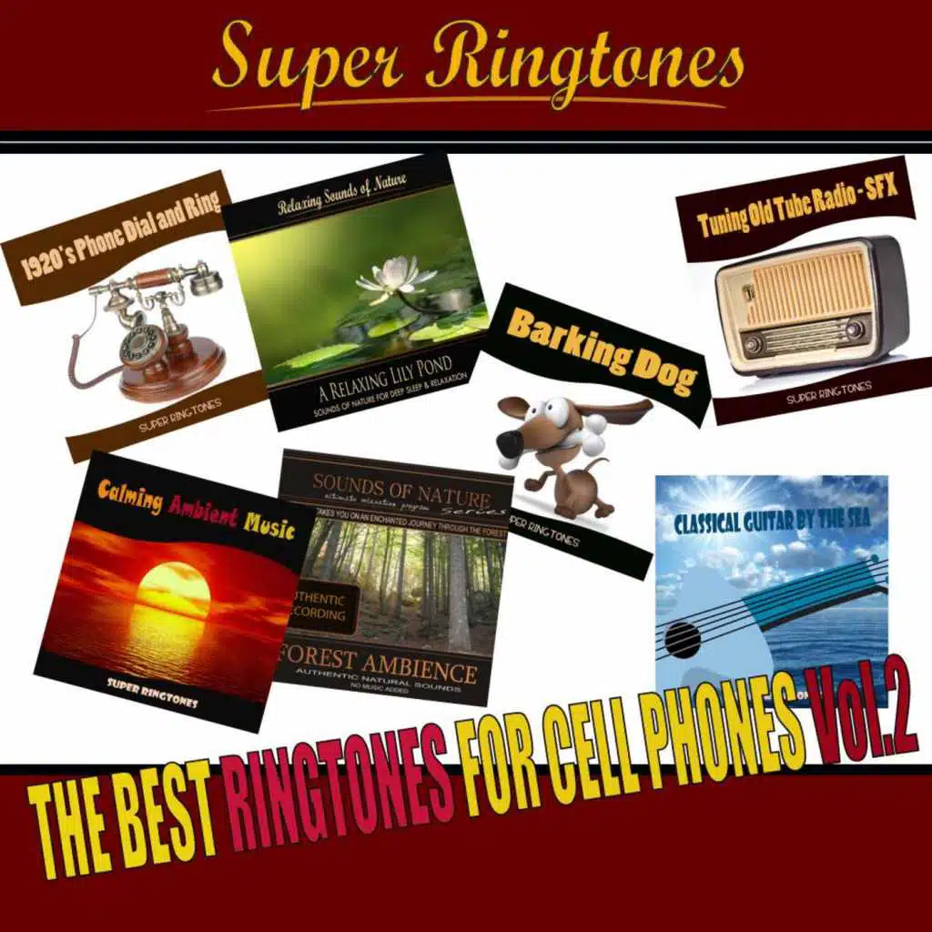 The Best Ringtones for Cell Phones, Vol.2