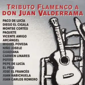 Tributo Flamenco A Don Juan Valderrama