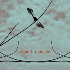 Sound Reasons (T0)