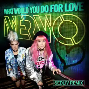 What Would You Do for Love (Sedliv Remix)