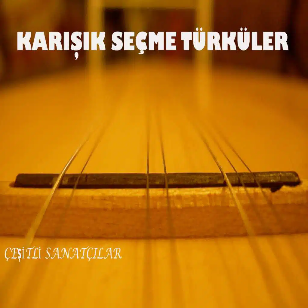 Karışık Seçme Türküler