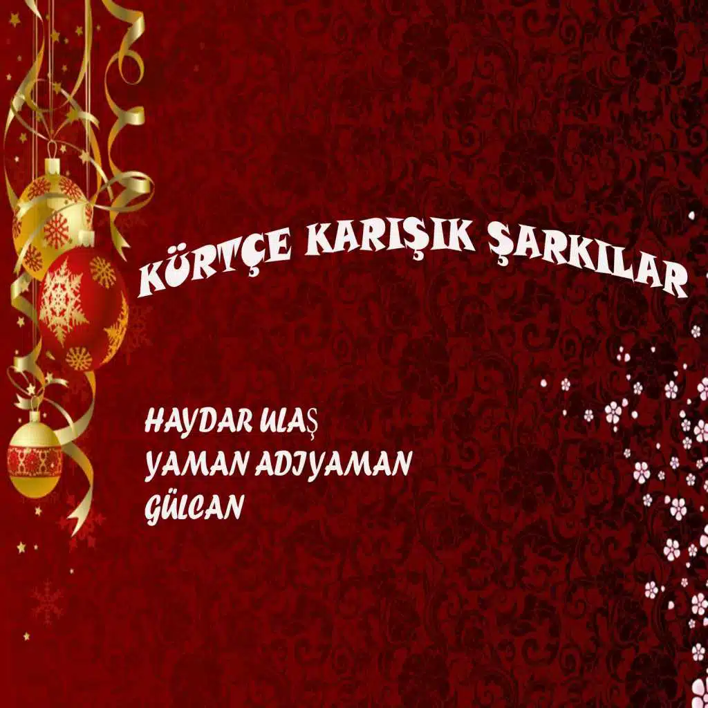 Kürtçe Karışık Şarkılar