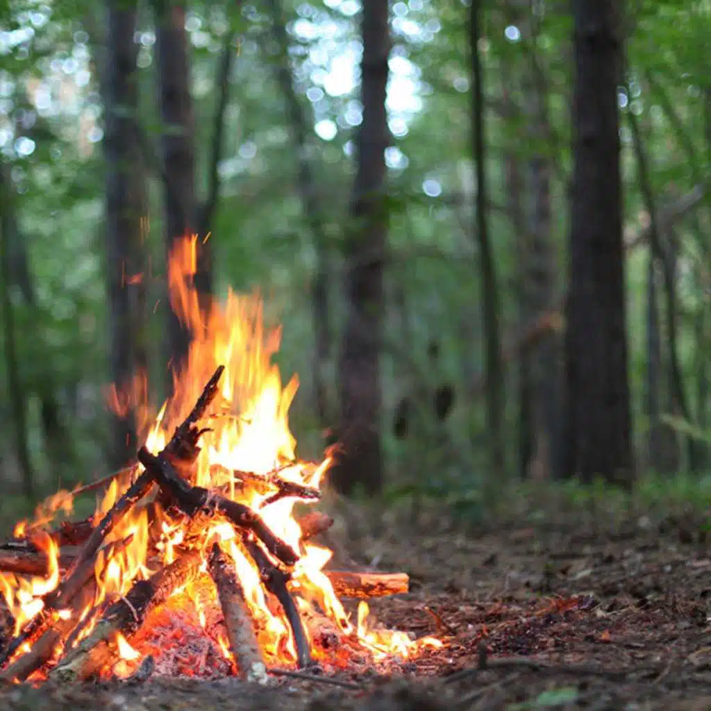 Algonquin Park Camp Fire