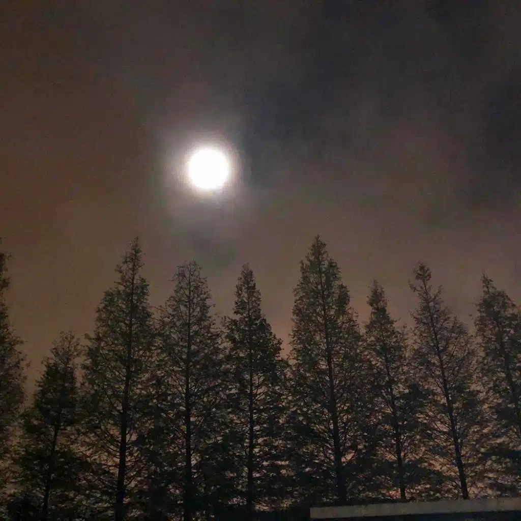 Because The Night (feat. Marc Martin, Perry Schober, Danny Lynch, Matt Starr)