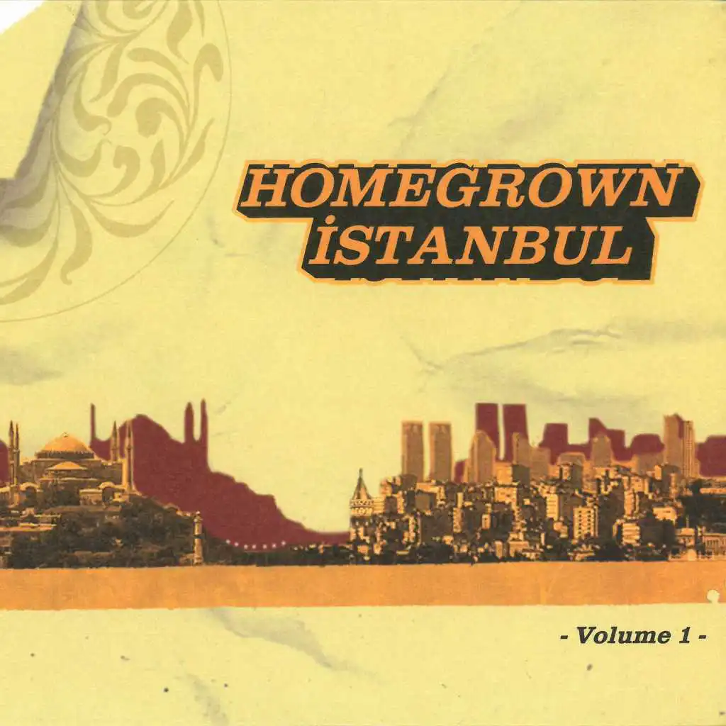 Homegrown Istanbul, Vol. 1