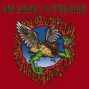 Los Lobos: Live At The Fillmore