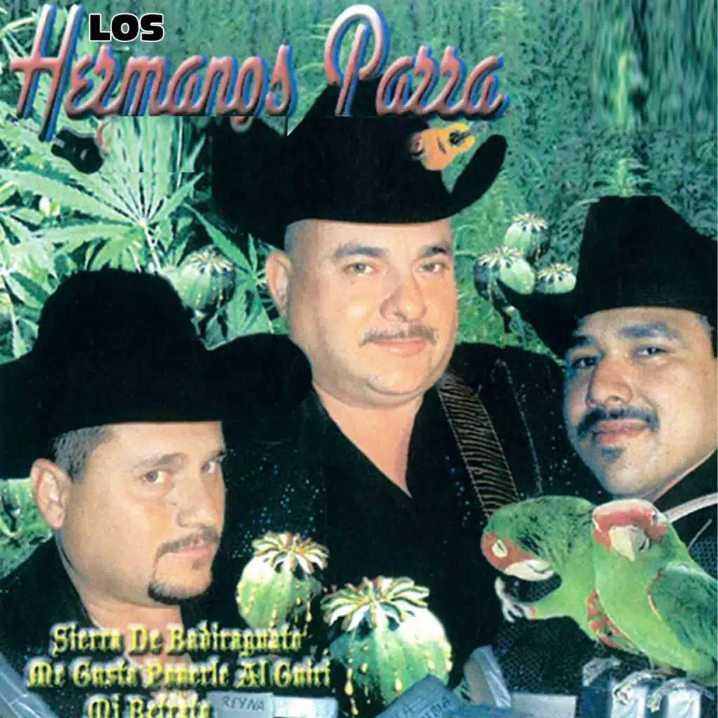 Sierra de Badiraguato