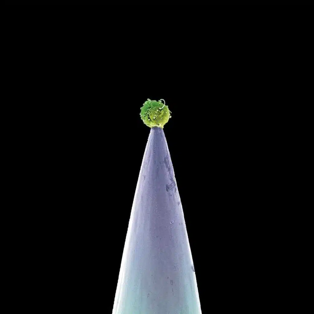 Don't Give Up (New Blood Version) [feat. Ane Brun]