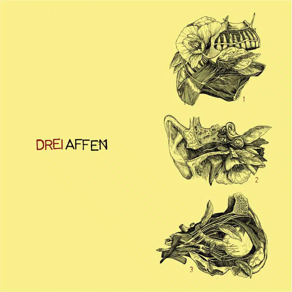 Drei Affen