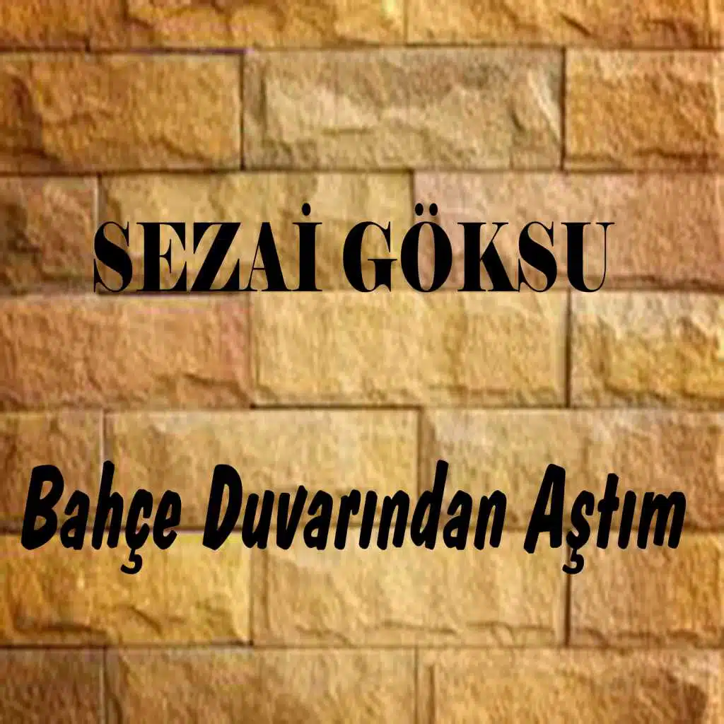 Bahçe Duvarından Aştım