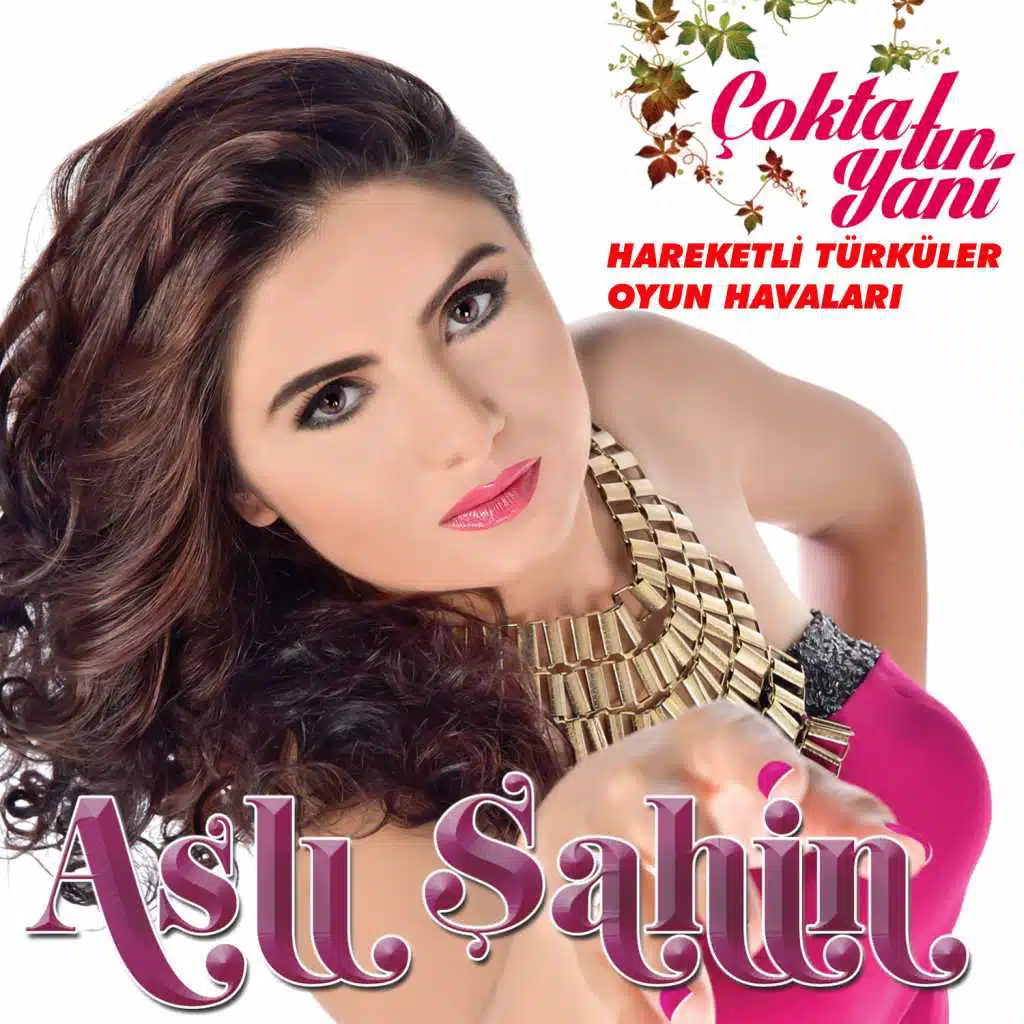 Hareketli Türküler Oyun Havaları / Çokta Tın Yani