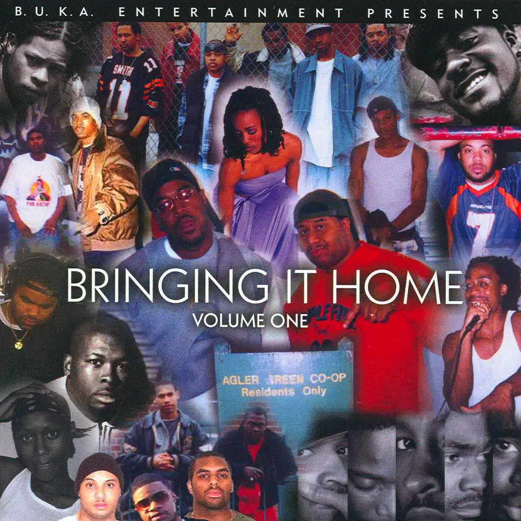 Bringing It Home Vol. 1